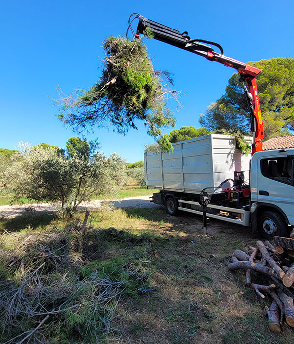 Des specialistes en évacuation des déchets verts dans le Val D’Oise (95)